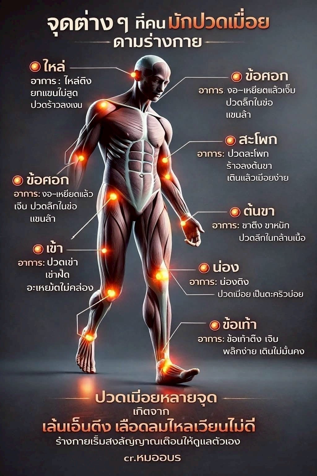 จุดต่างๆที่คนมักปวดเมื่อย
